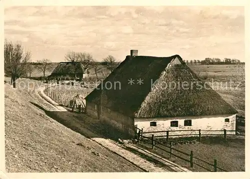 AK / Ansichtskarte Eiderdeich Tielenhemme Bauernhaeuser hinterm Deich Kat. Tielenhemme