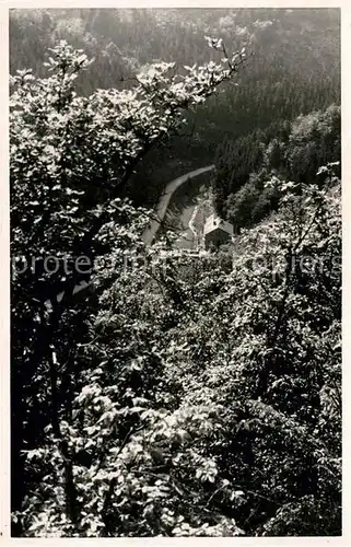 AK / Ansichtskarte Espenschied Blick ins Werkertal Kat. Lorch