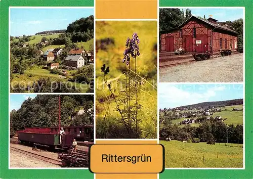 AK / Ansichtskarte Rittersgruen Blauer Eisenhut Museum Oberrittersgruen Schmalspurbahnhof Kat. Rittersgruen