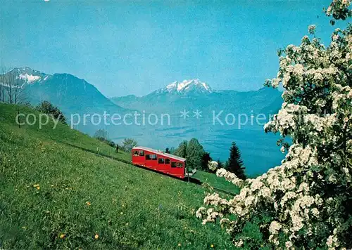 AK / Ansichtskarte Zahnradbahn Treib Seelisberg Bahn Pilatus Kat. Bergbahn