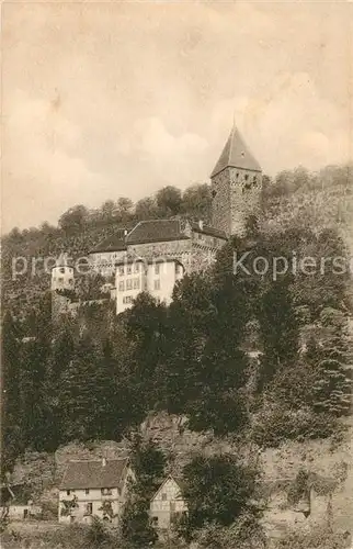 AK / Ansichtskarte Zwingenberg Neckar Schloss