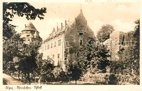 AK / Ansichtskarte Alzey Schloss Kat. Alzey
