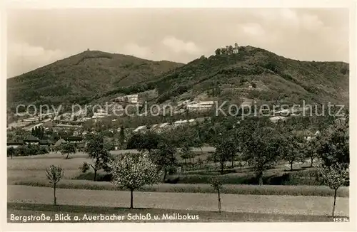 AK / Ansichtskarte Auerbach Bergstrasse Landschaftspanorama Auerbacher Schloss Melibokus Kat. Bensheim