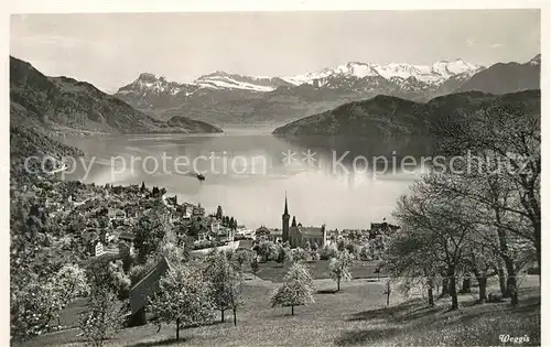 AK / Ansichtskarte Weggis Vierwaldstaettersee Landschaftspanorama Alpen