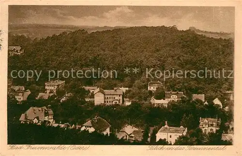 AK / Ansichtskarte Bad Freienwalde Blick in das Brunnental Landschaftspanorama Kat. Bad Freienwalde