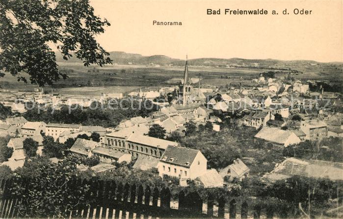AK / Ansichtskarte Bad Freienwalde Panorama Kat. Bad Freienwalde Nr