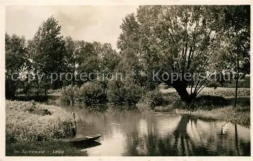 AK / Ansichtskarte Leipe Wasserstrasse Landschaftspanorama Kat. Luebbenau Spreewald