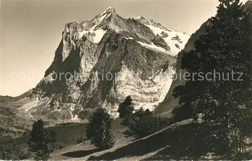 AK / Ansichtskarte Grindelwald Wetterhorn Gebirgspanorama Berner Alpen Kat. Grindelwald