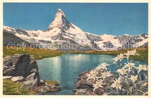AK / Ansichtskarte Zermatt VS Matterhorn Walliser Alpen Edelweiss Riffelsee Bergsee Walliser Alpen Kat. Zermatt