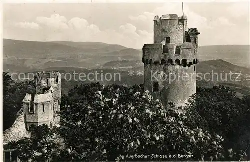 AK / Ansichtskarte Auerbach Bergstrasse Schloss Kat. Bensheim