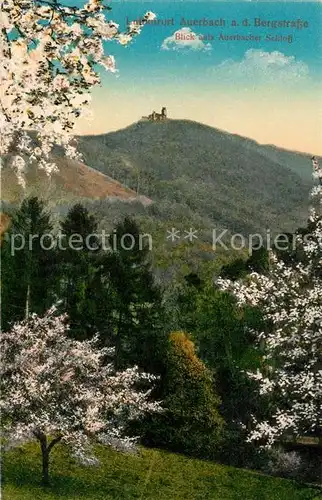 AK / Ansichtskarte Auerbach Bergstrasse mit Auerbacher Schloss Kat. Bensheim