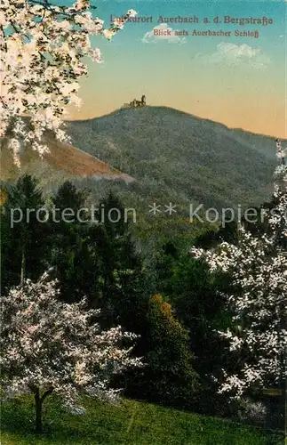 AK / Ansichtskarte Auerbach Bergstrasse mit Auerbacher Schloss Kat. Bensheim