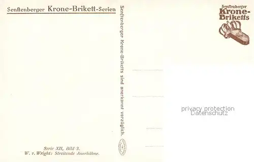 AK / Ansichtskarte Kuenstlerkarte W. v. Wright Streitende Auerhaehne  Kat. Kuenstlerkarte