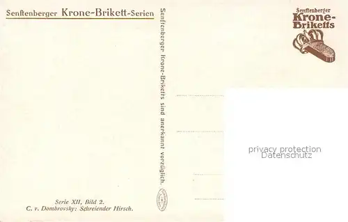 AK / Ansichtskarte Kuenstlerkarte C. v. Dombrovsky Schreiender Hirsch  Kat. Kuenstlerkarte