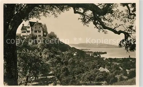 AK / Ansichtskarte Salenstein TG Schloss Blick auf Bodensee Kat. Salenstein