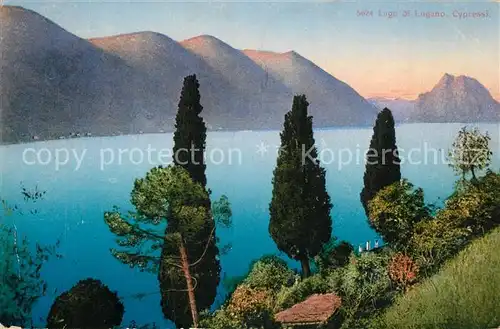 AK / Ansichtskarte Lago di Lugano Cypressi Zypressen Landschaftspanorama Alpen Natur Kat. Italien