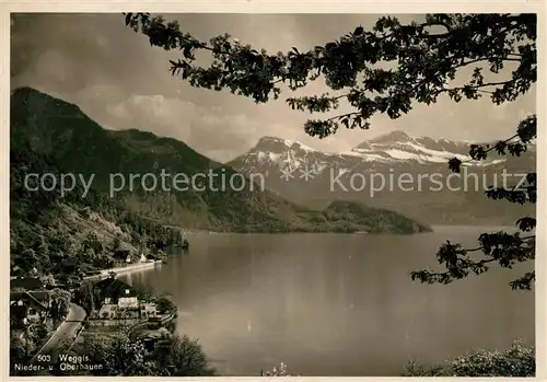 AK / Ansichtskarte Weggis Vierwaldstaettersee Niederbauen Oberbauen Alpenpanorama