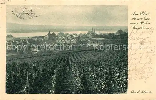 AK / Ansichtskarte Geisenheim Weinberge Reben Serie Aus unserer Heimat Sammlung 10 Am Rhein II. Folge Kat. Geisenheim