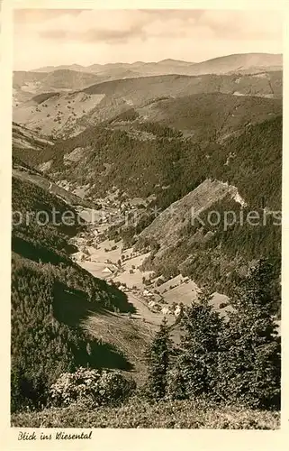 AK / Ansichtskarte Feldberg Schwarzwald Blick ins Wiesental Kat. Feldberg (Schwarzwald)