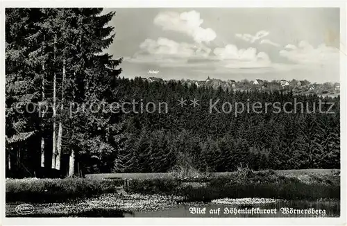 AK / Ansichtskarte Woernersberg Panorama Kat. Woernersberg