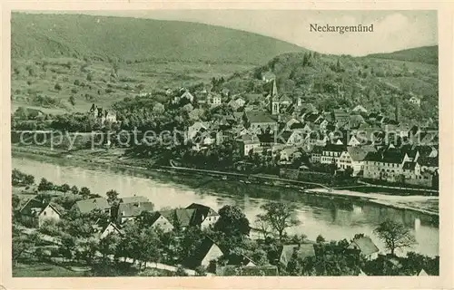 AK / Ansichtskarte Neckargemuend Panorama mit Hotel zum goldenen Hirschen Kat. Neckargemuend