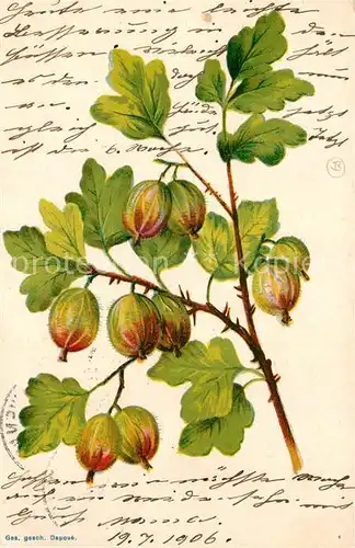 AK / Ansichtskarte Obst Fruechte Litho  Kat. Lebensmittel