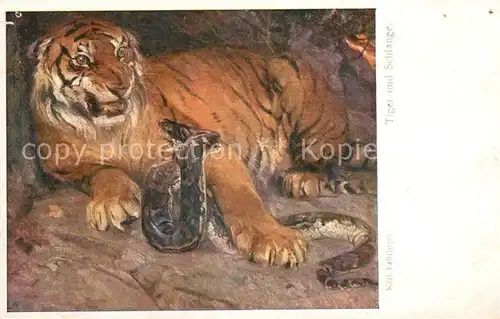 AK / Ansichtskarte Verlag Wiener Kunst Nr. 1071 Karl Fahringer Tiger und Schlange  Kat. Verlage