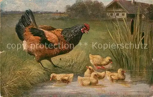 AK / Ansichtskarte Gefluegel Huhn Kueken  Kat. Tiere