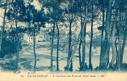 AK / Ansichtskarte Ile de Brehat A travers les pins du Port Clos Kat. Ile de Brehat