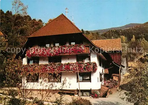 AK / Ansichtskarte Bleibach Trenklehof Kat. Gutach im Breisgau