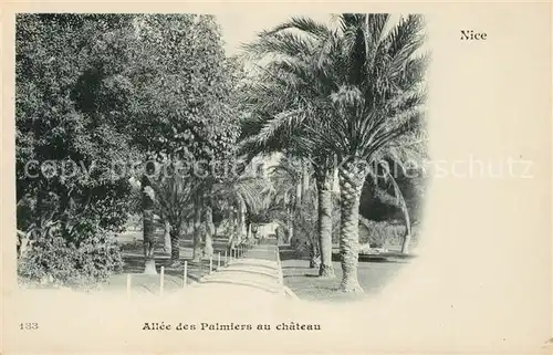 AK / Ansichtskarte Nice Alpes Maritimes Allee des Palmiers au chateau Kat. Nice