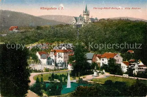 AK / Ansichtskarte Koenigstein Taunus Herzog Adolf Anlage und Villa Andrae Kat. Koenigstein im Taunus