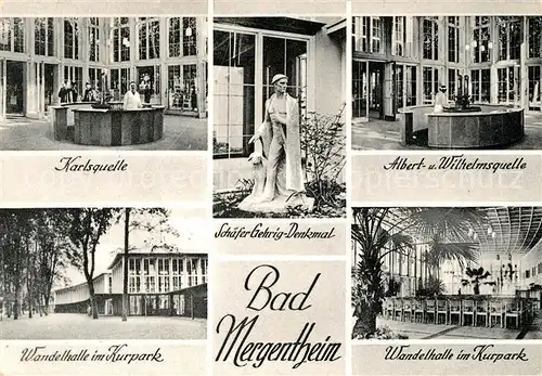 AK / Ansichtskarte Bad Mergentheim Karlsquelle Schaefer Gehrig Denkmal Wandelhalle Kurpark Kat. Bad Mergentheim