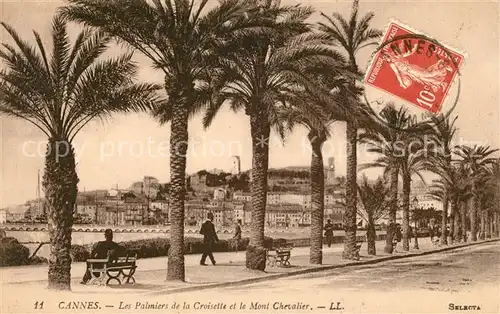 AK / Ansichtskarte Cannes Alpes Maritimes Les Palmiers de la Croisette et le Mont Chevalier Kat. Cannes