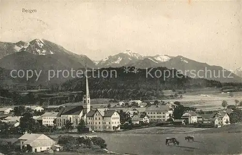 AK / Ansichtskarte Bergen Chiemgau Panorama Kat. Bergen