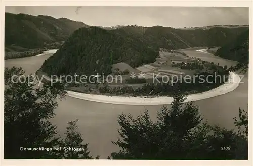 AK / Ansichtskarte Schloegen Donauschlinge Kat. Haibach ob der Donau