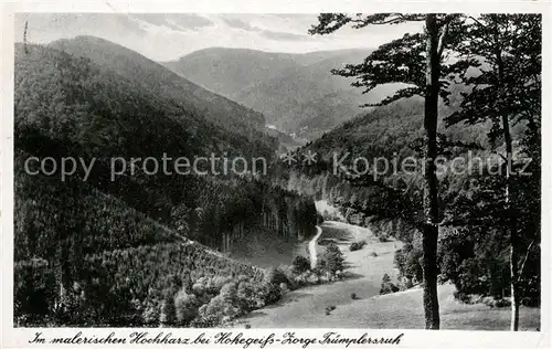 AK / Ansichtskarte Hohegeiss Harz Landschaftspanorama malerischer Hochharz Kat. Braunlage