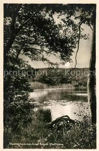 AK / Ansichtskarte Stubbenkammer Ruegen Herthasee Kat. Sassnitz