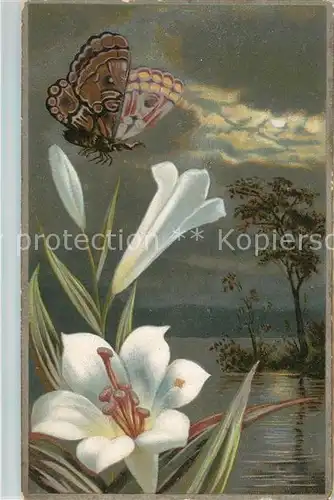 AK / Ansichtskarte Schmetterlinge Blume Litho Kat. Tiere