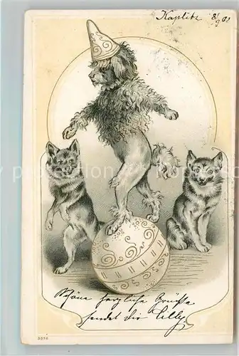 AK / Ansichtskarte Zirkus Hunde Litho Kat. Zirkus