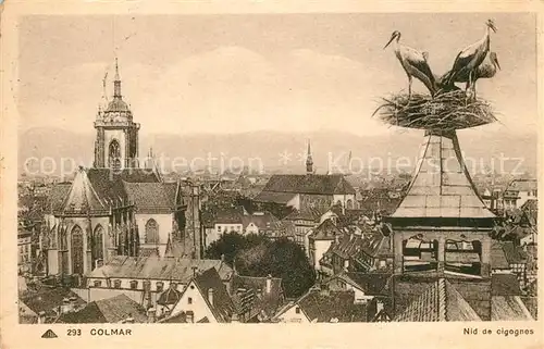 Colmar Haut Rhin Elsass Cathedrale Nid de cigognes Kat. Colmar