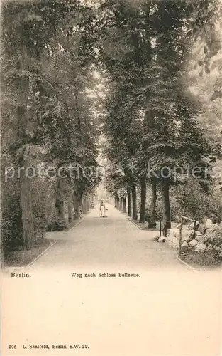 Berlin Weg nach Schloss Bellevue Baumallee Kat. Berlin