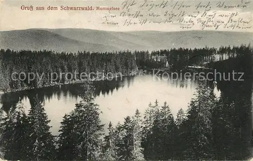Mummelsee Landschaftspanorama Schwarzwald Kat. Seebach