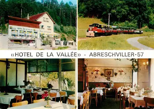 AK / Ansichtskarte Abreschviller Moselle Hotel de la Vallee  Kat. Abreschviller
