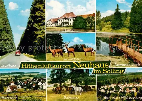 AK / Ansichtskarte Neuhaus Solling Schloss Kegelbahn Lakenhausteich Kat. Holzminden