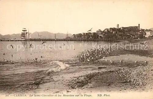 Cannes Alpes Maritimes Mont Chevalier et les Mouettes sur la Plage Cote d Azur Kat. Cannes