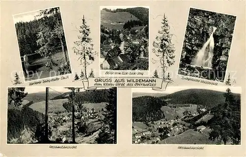 Wildemann Spiegelhalter Teich Stadtblick Wasserfall Panorama  Kat. Wildemann Harz