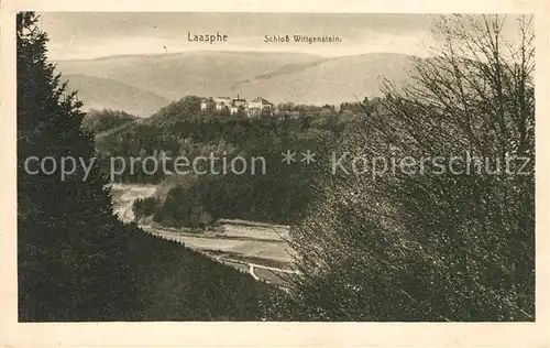 AK / Ansichtskarte Laasphe Landschaftspanorama mit Schloss Wittgenstein Kat. Bad Laasphe