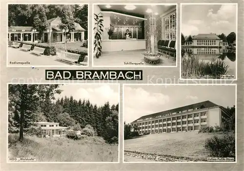 AK / Ansichtskarte Bad Brambach Schillerquelle Festhalle Julius Fucik Haus Kat. Bad Brambach