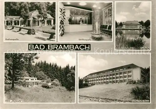 AK / Ansichtskarte Bad Brambach HOG Waldcafe Radiumquelle Festhalle Kat. Bad Brambach